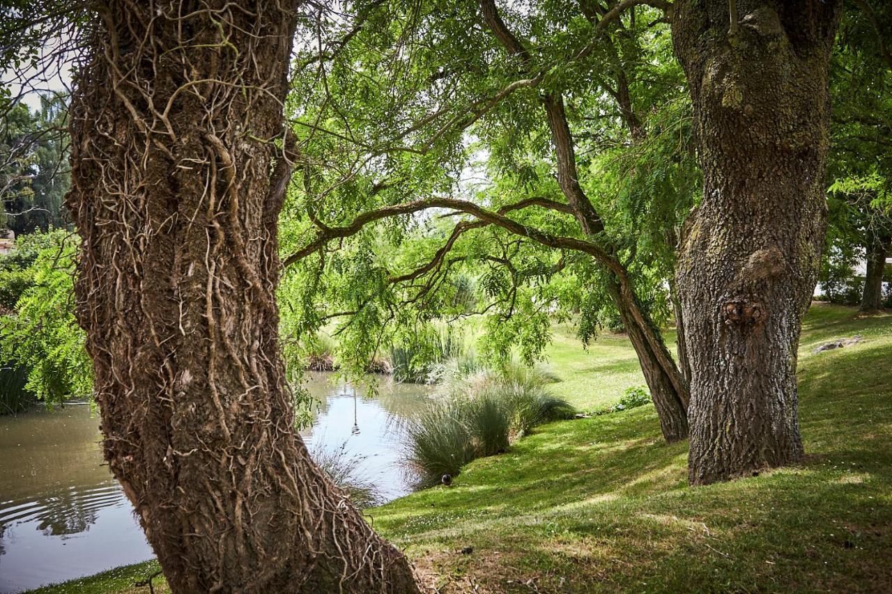 Les Jardins De L'Anjou Hotel Montjean-sur-Loire Ngoại thất bức ảnh