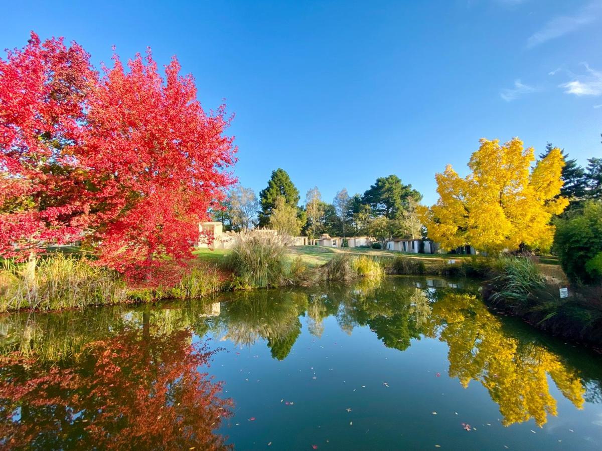 Les Jardins De L'Anjou Hotel Montjean-sur-Loire Ngoại thất bức ảnh